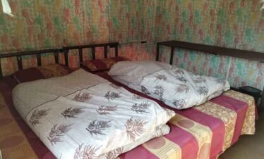 Leo Wild Camp Bed
