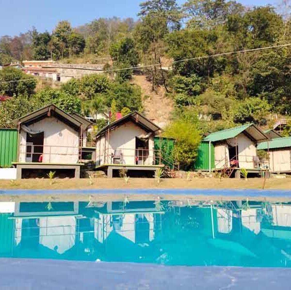 Leo Wild camps